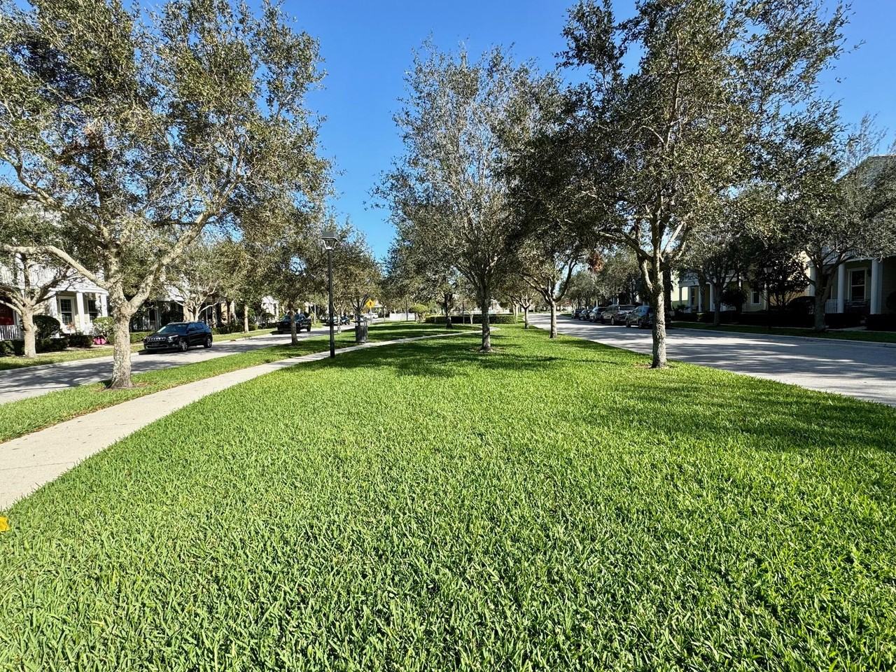 2758 Avalon Way #2758 - Photo 6 of 50