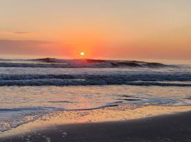 1107 1st St S #B - Photo 1 of 1