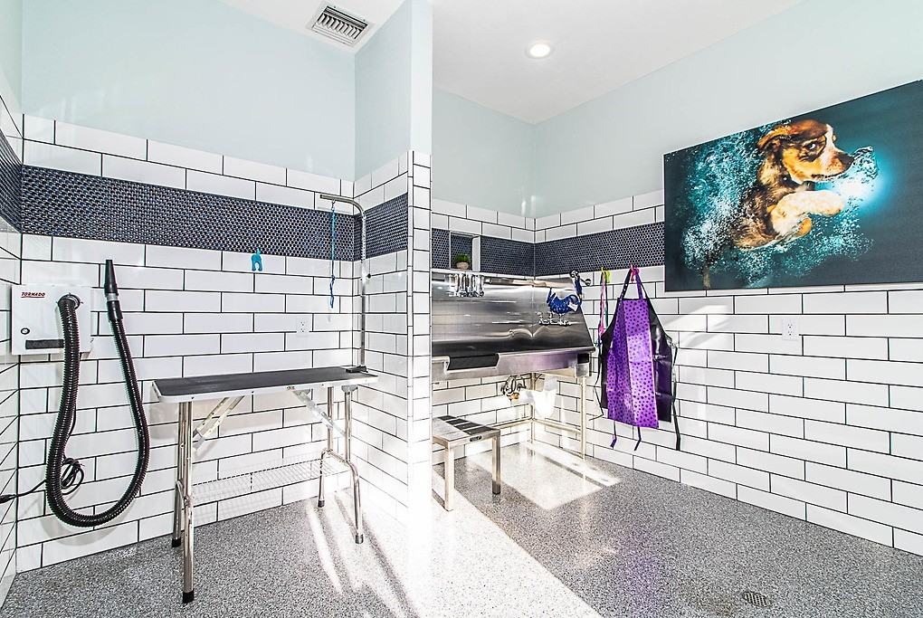 Bristol Commons - Photo 6 of 44