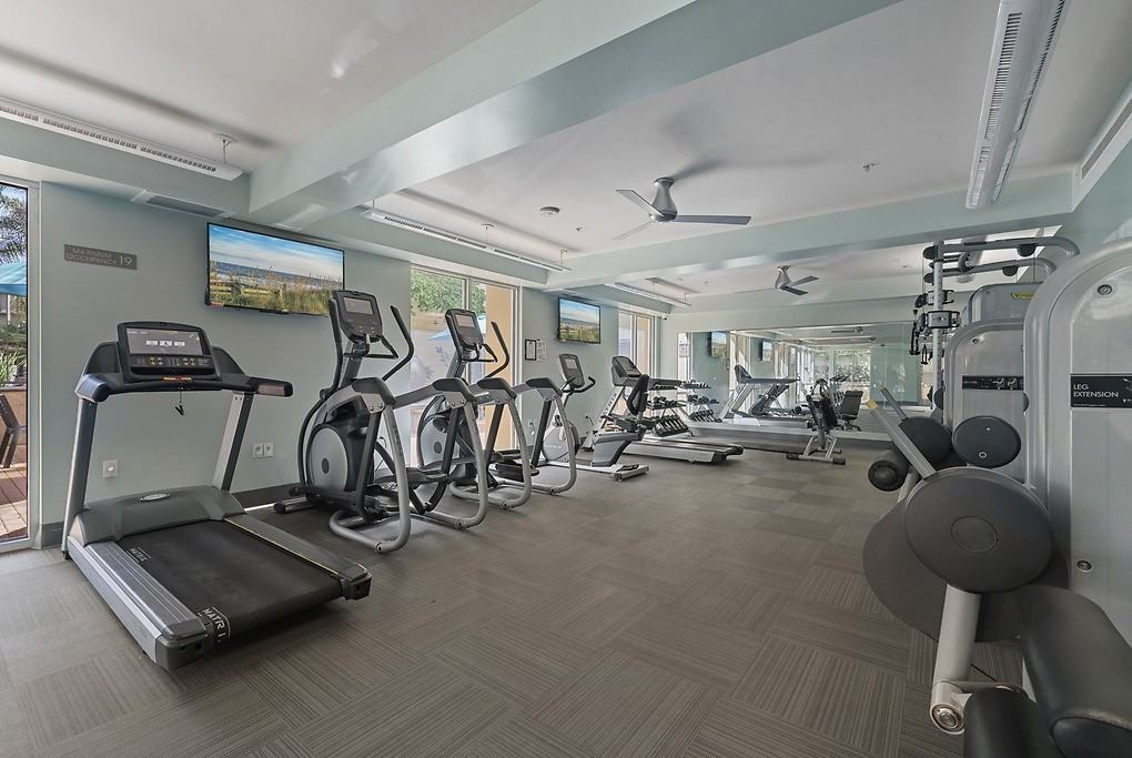 Enso - Photo 6 of 50