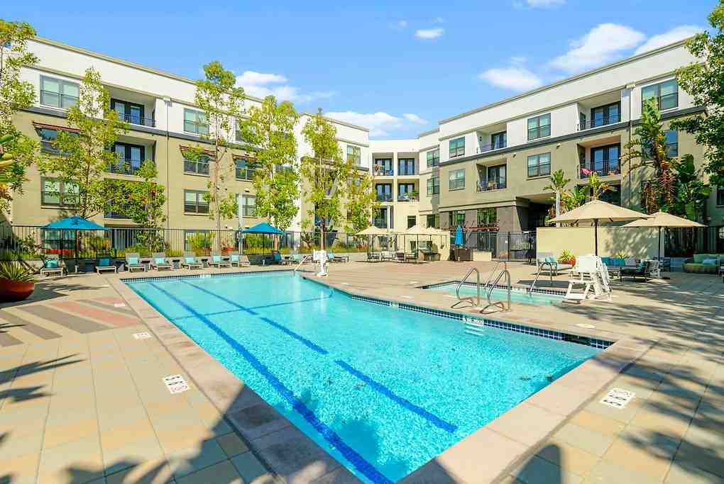 Radius - Photo 2 of 43