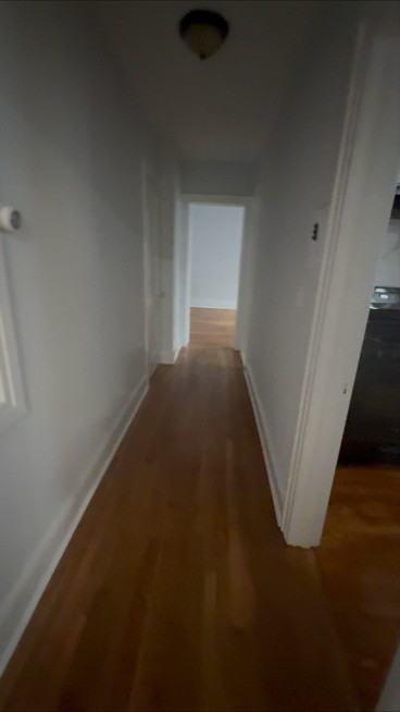 558 Orange St #202 - Photo 4 of 10