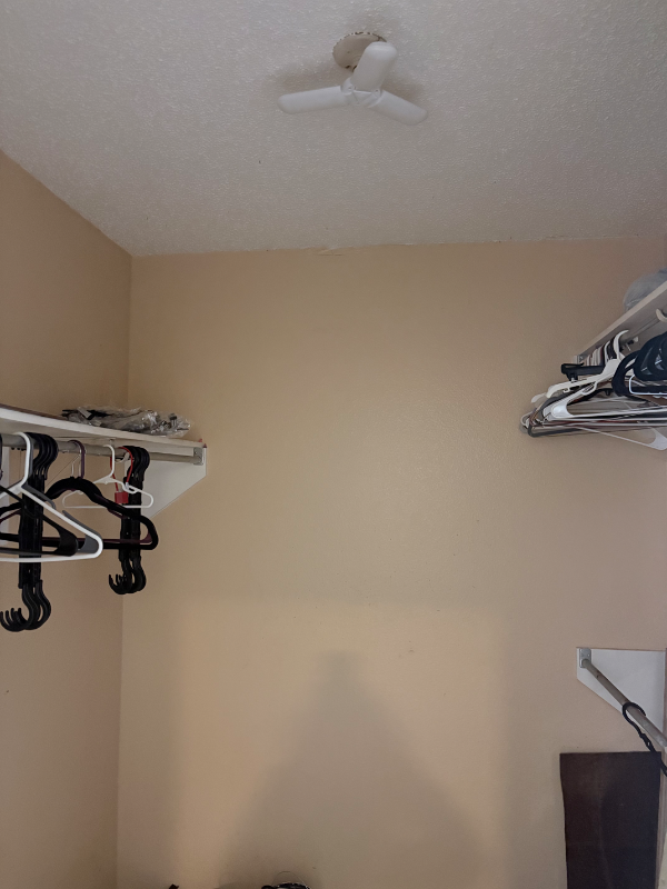 15403 Forest Peak - Photo 3 of 11