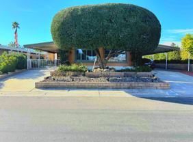 39281 Palm Greens Pkwy - Photo 1 of 1