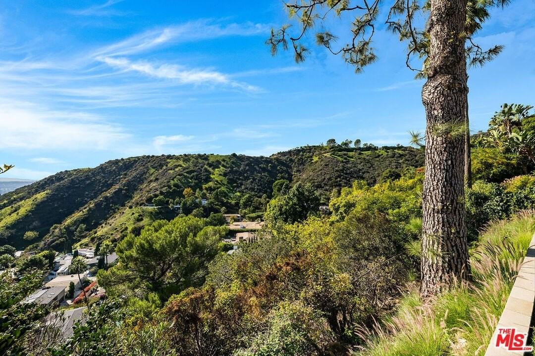 2431 Carman Crest Dr - Photo 7 of 43