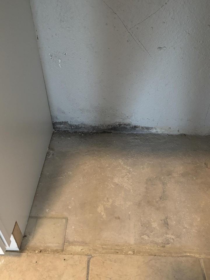 650 Blakely Ave - Photo 4 of 10