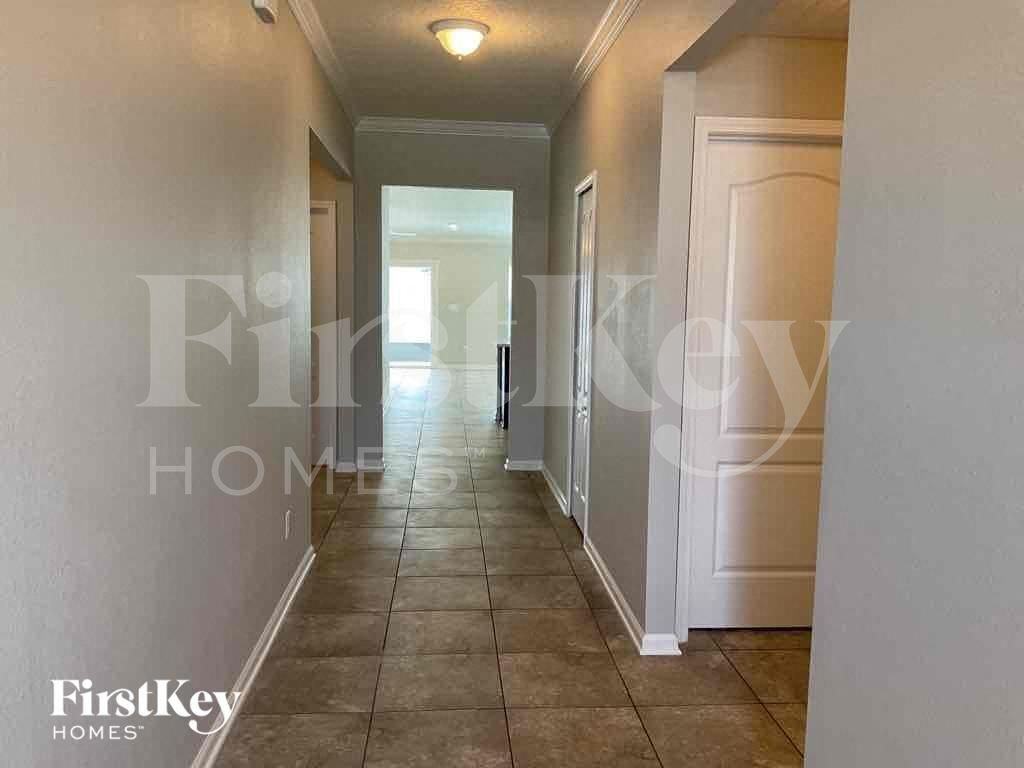 10126 Andean Fox Dr - Photo 2 of 16