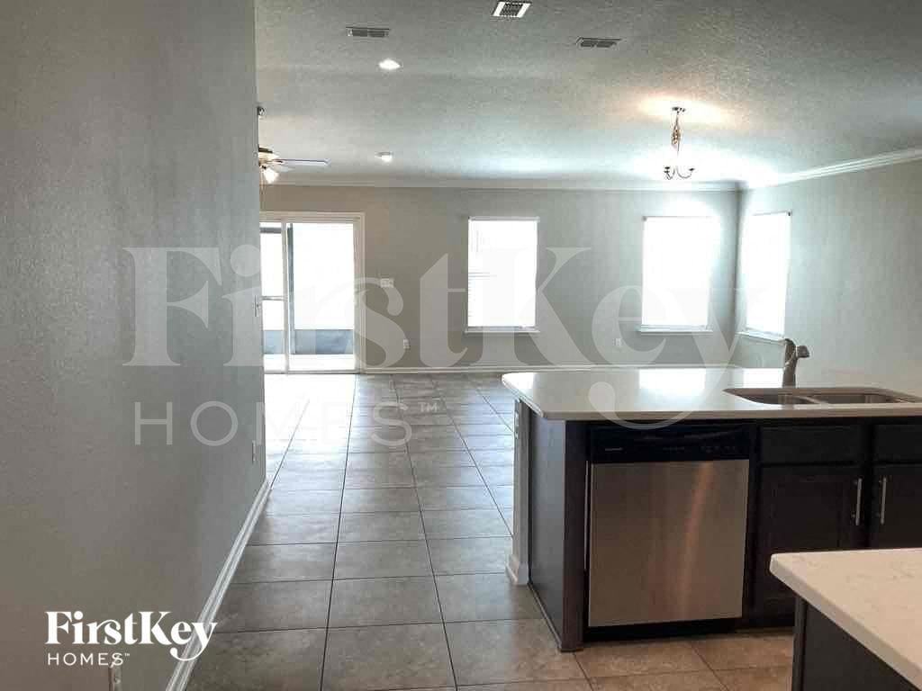 10126 Andean Fox Dr - Photo 3 of 16