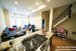 featured image of 5 Wigglesworth St #2