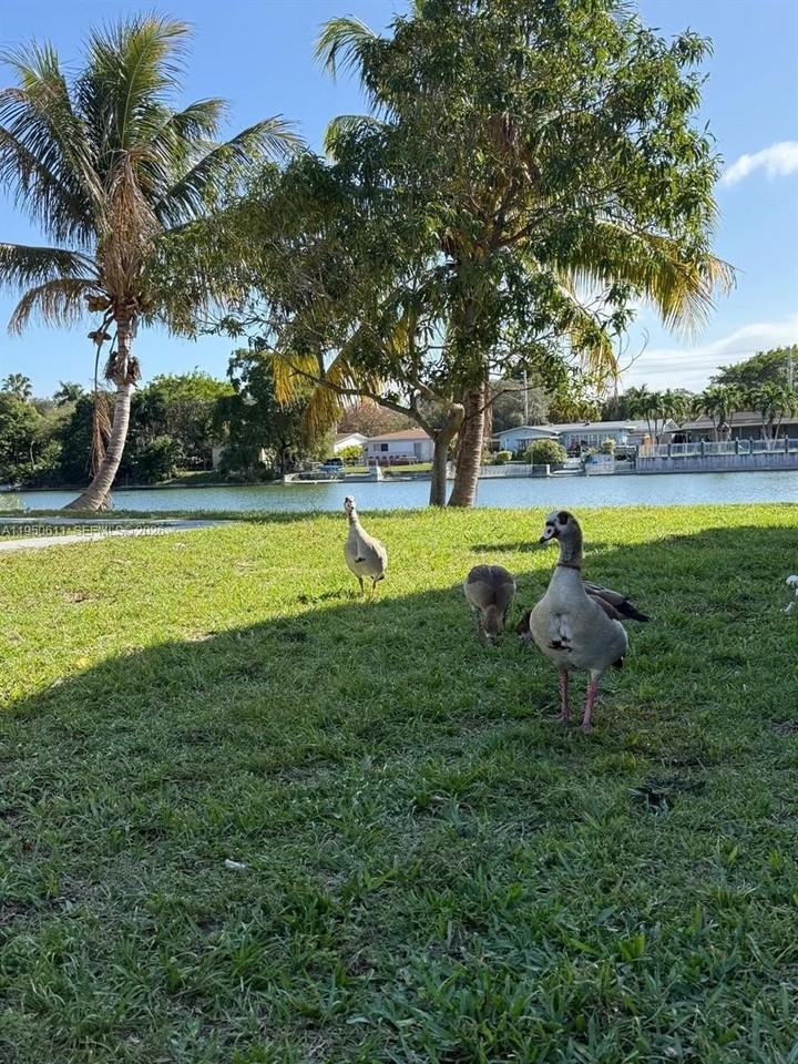 1054 Sw 2nd St #1058 - Photo 2 of 15