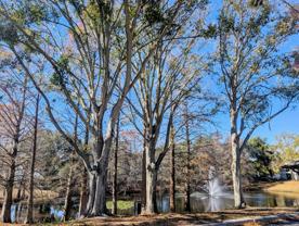 8849 Latrec Ave #201 - Photo 1 of 1