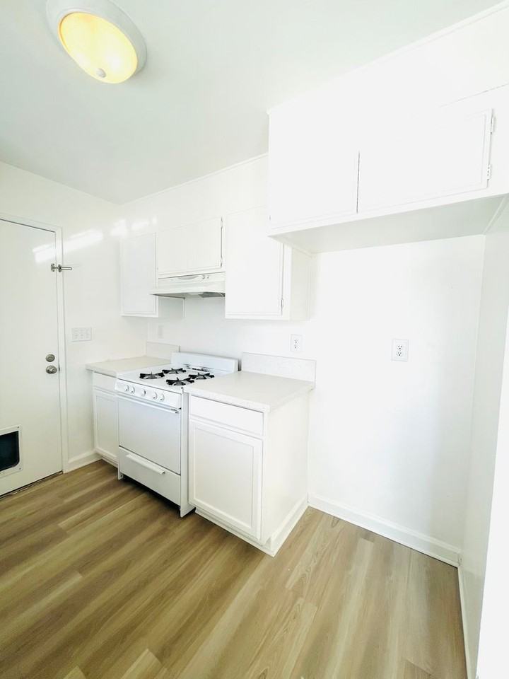 1556 Echidna Ln - Photo 3 of 35