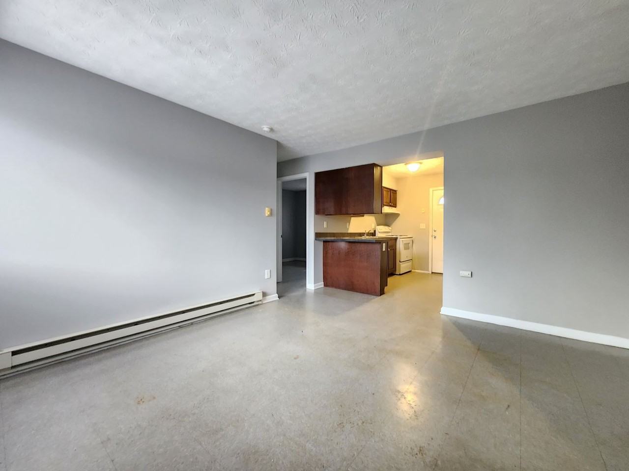 1784 Lisle Ave - Photo 3 of 13