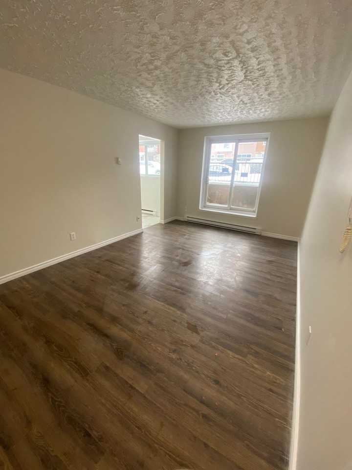 2569 Rue Papineau #2 - Photo 4 of 11