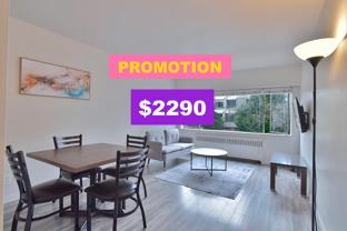 1540 Haro Street #202 - Photo 1 of 1