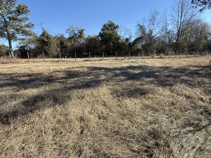 85 Buttercup Dr - Photo 4 of 7