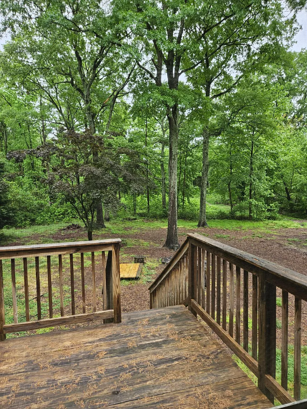 167 Waldo Rd #1 - Photo 5 of 14