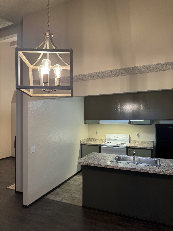 1043 Copeland Creek Dr - Photo 3 of 12