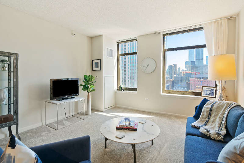 376 N Desplaines St - Photo 3 of 13