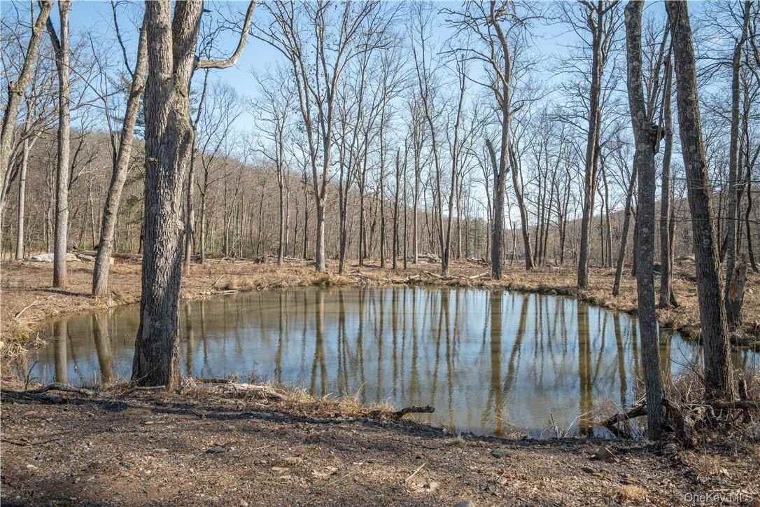 56 Benjamin Meadow Rd - Photo 2 of 36