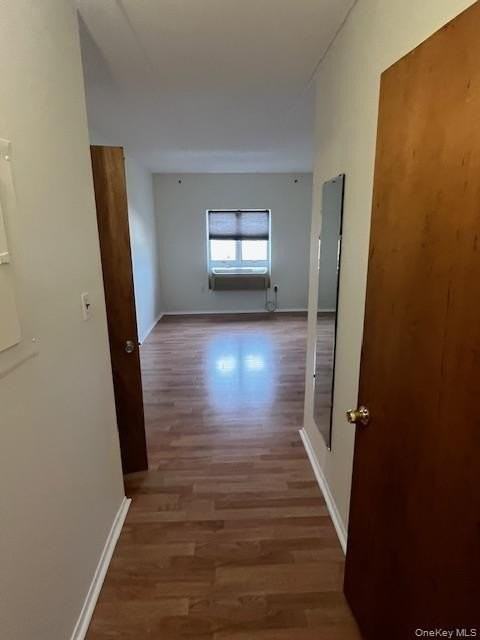 205 Mineola Blvd Apt 5h #5H - Photo 3 of 14