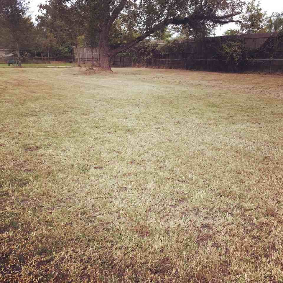 3052 Effie St - Photo 4 of 8