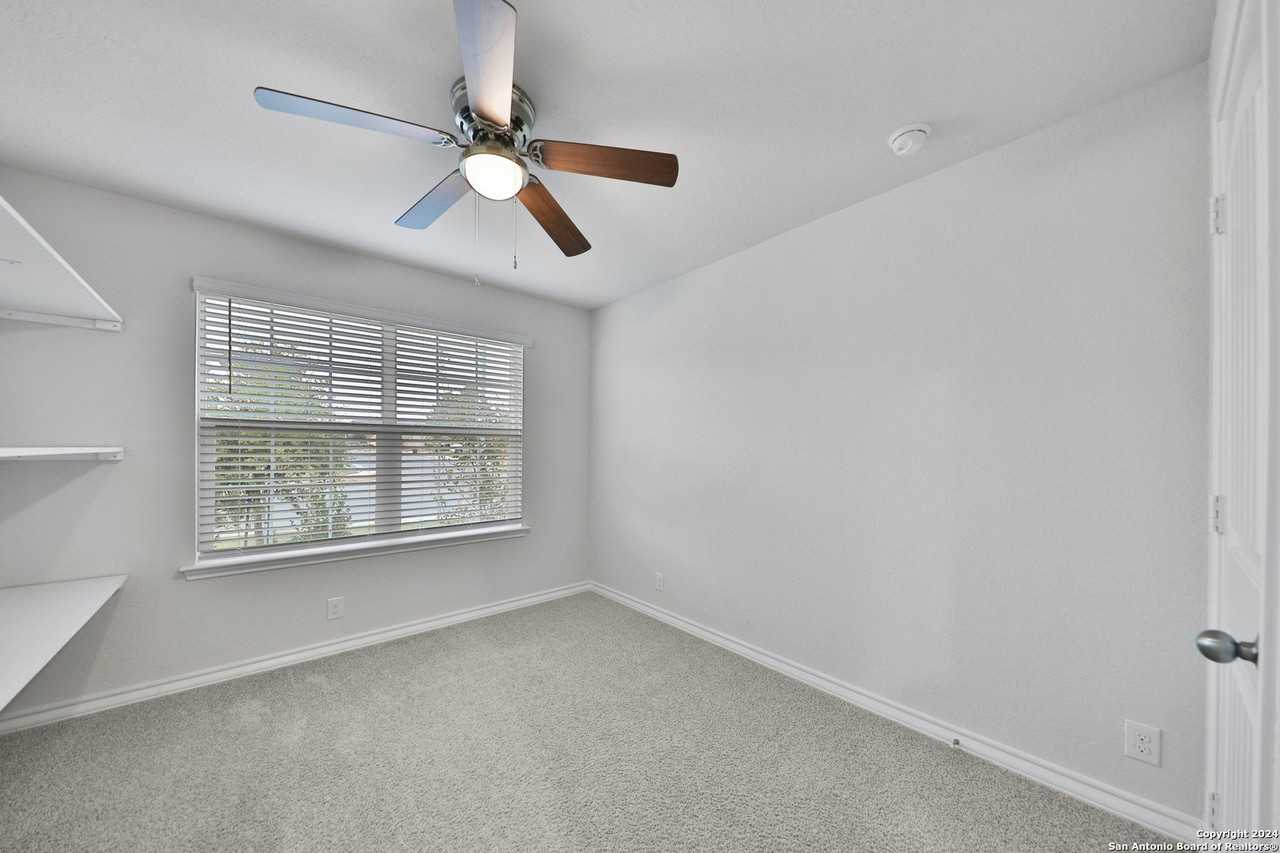 903 Red Merganser - Photo 5 of 34