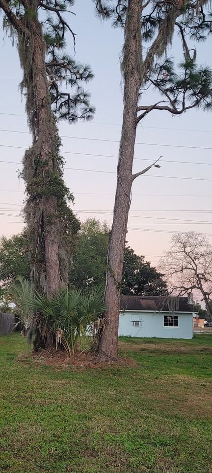 834 Oberry Hoover Rd #NA - Photo 6 of 25