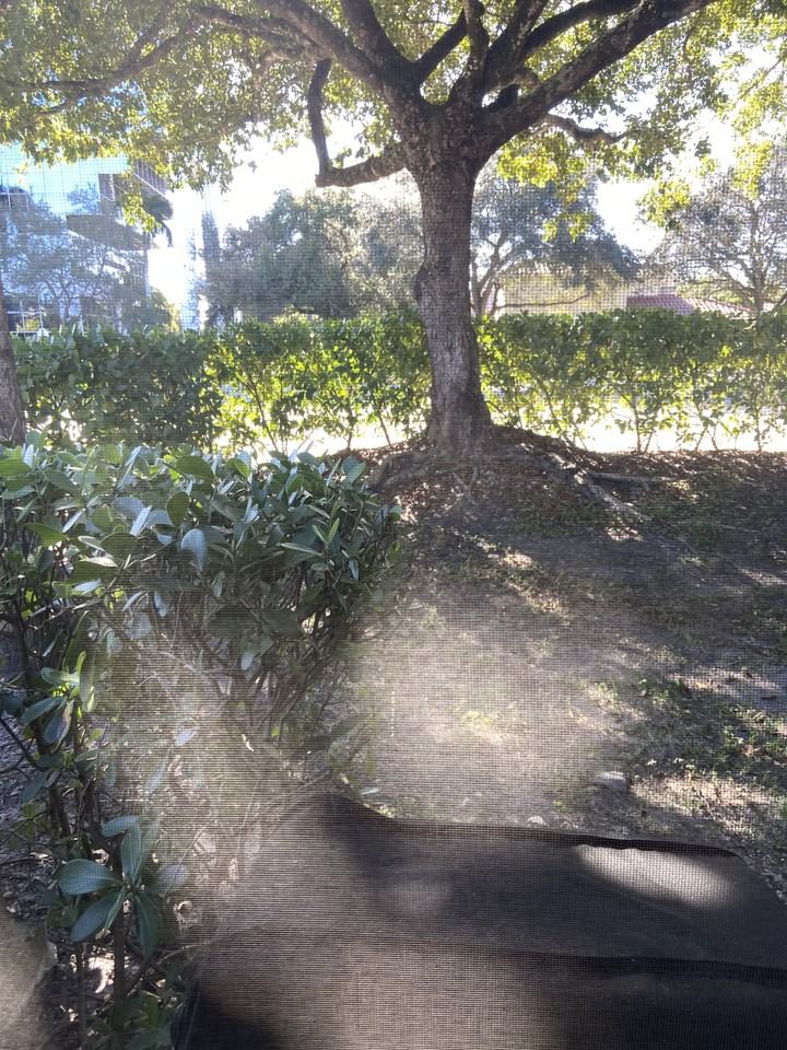 9641 Riverside Dr #F1 - Photo 6 of 27