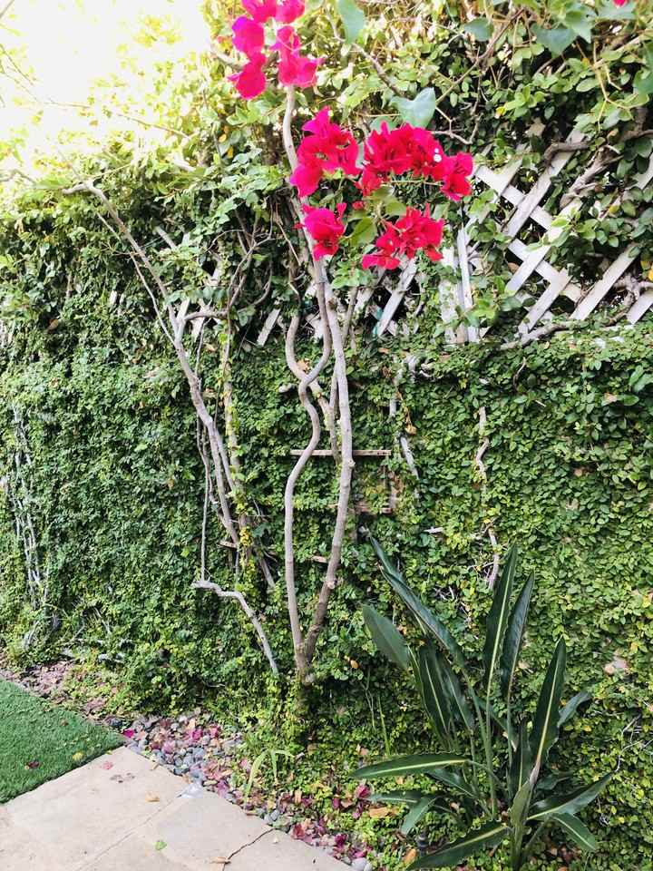 3120 Colorado Ave #B - Photo 5 of 15