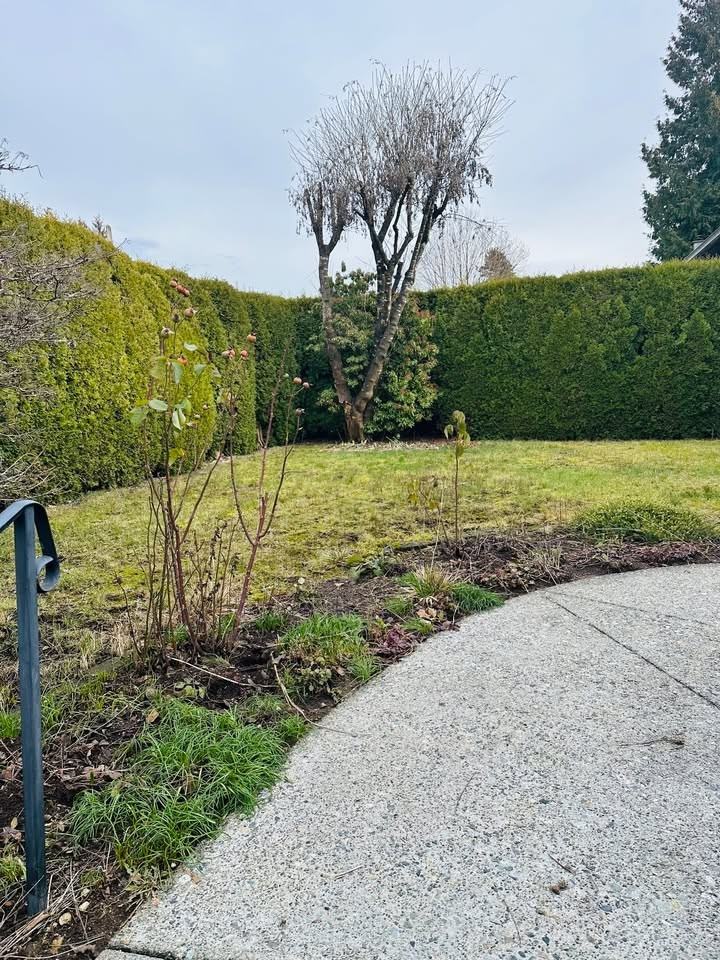 1600 Cornell Avenue - Photo 4 of 35