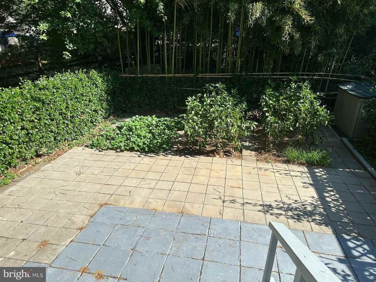 18437 Mayapple Ct - Photo 7 of 17