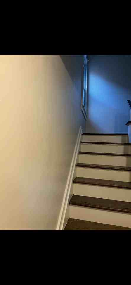 4741 Buena Vista Street - Photo 7 of 12