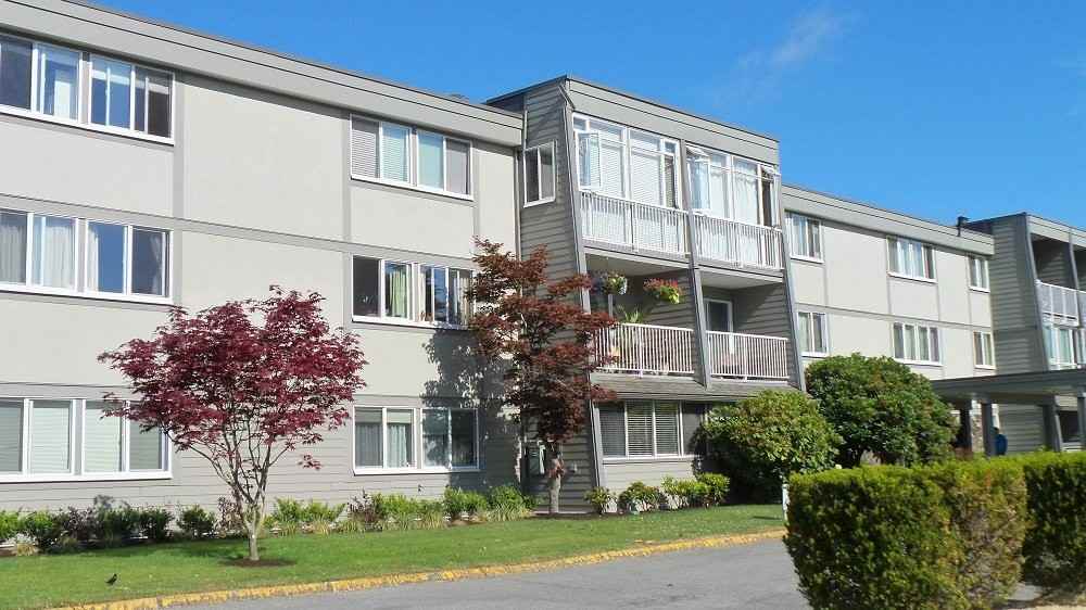 3451 Springfield Drive #214 - Photo 6 of 39