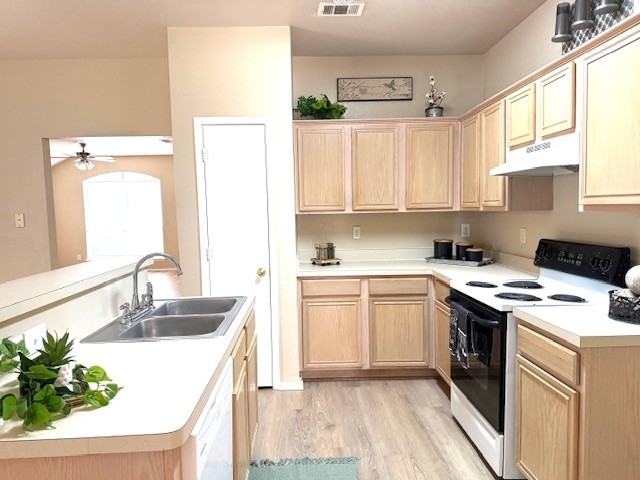 1824 Mcneely St - Photo 5 of 15