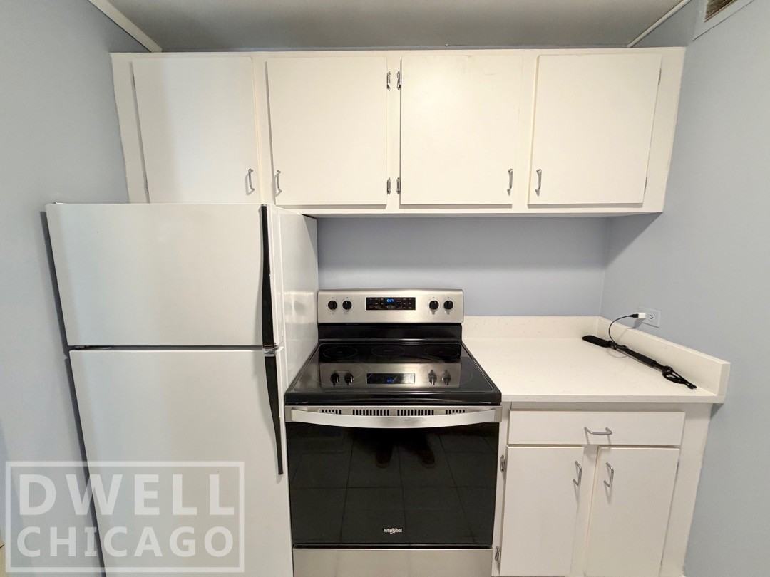 233 E Erie St #1307 - Photo 5 of 25