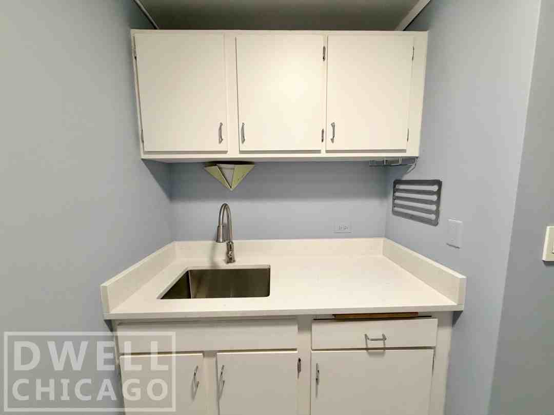 233 E Erie St #1307 - Photo 7 of 25