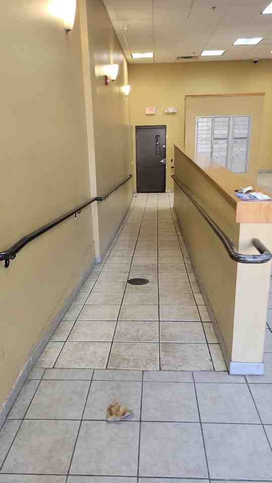 4221 W North Ave #205 - Photo 6 of 22