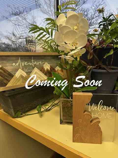 17 Elm St #1 - Photo 2 of 2