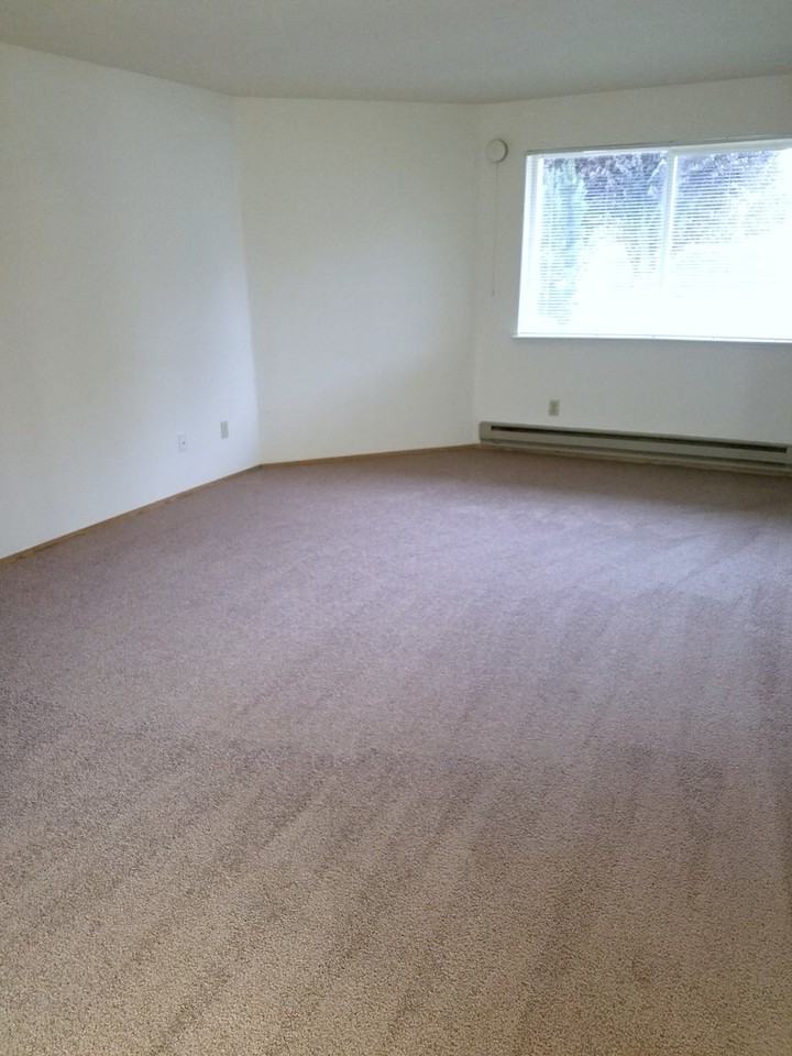 BDM Auburn - Photo 5 of 12