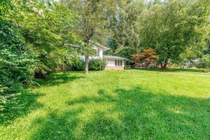 featured image of 4228 San Carlos Dr