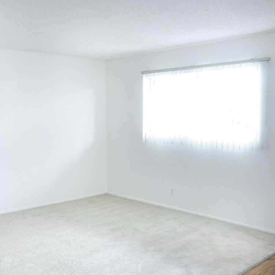 308 Nashville Ave - Photo 3 of 8