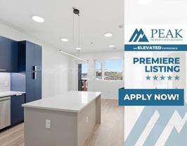 501 Orleans St #303 - Photo 1 of 1