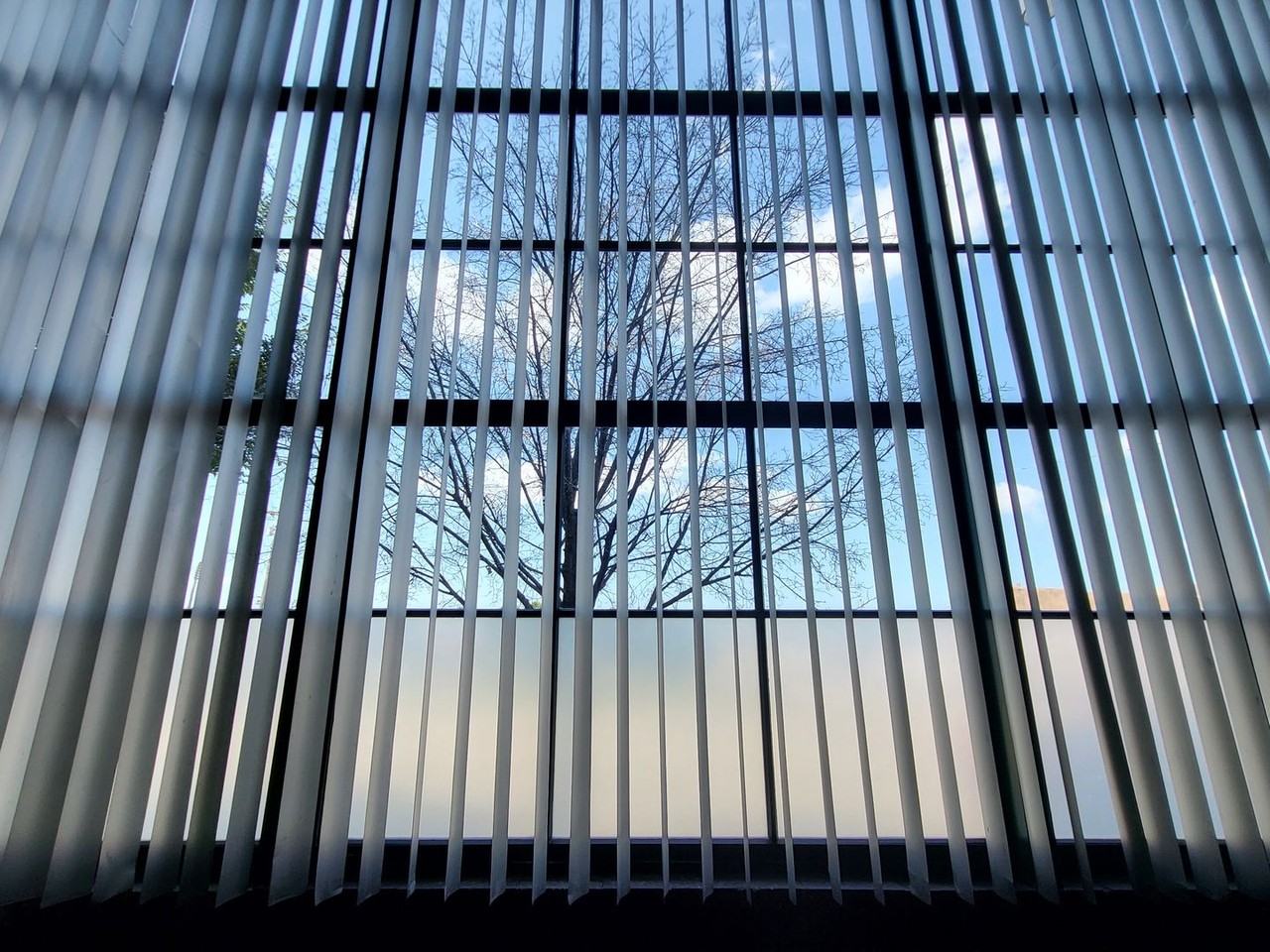 TipTop - Photo 2 of 50