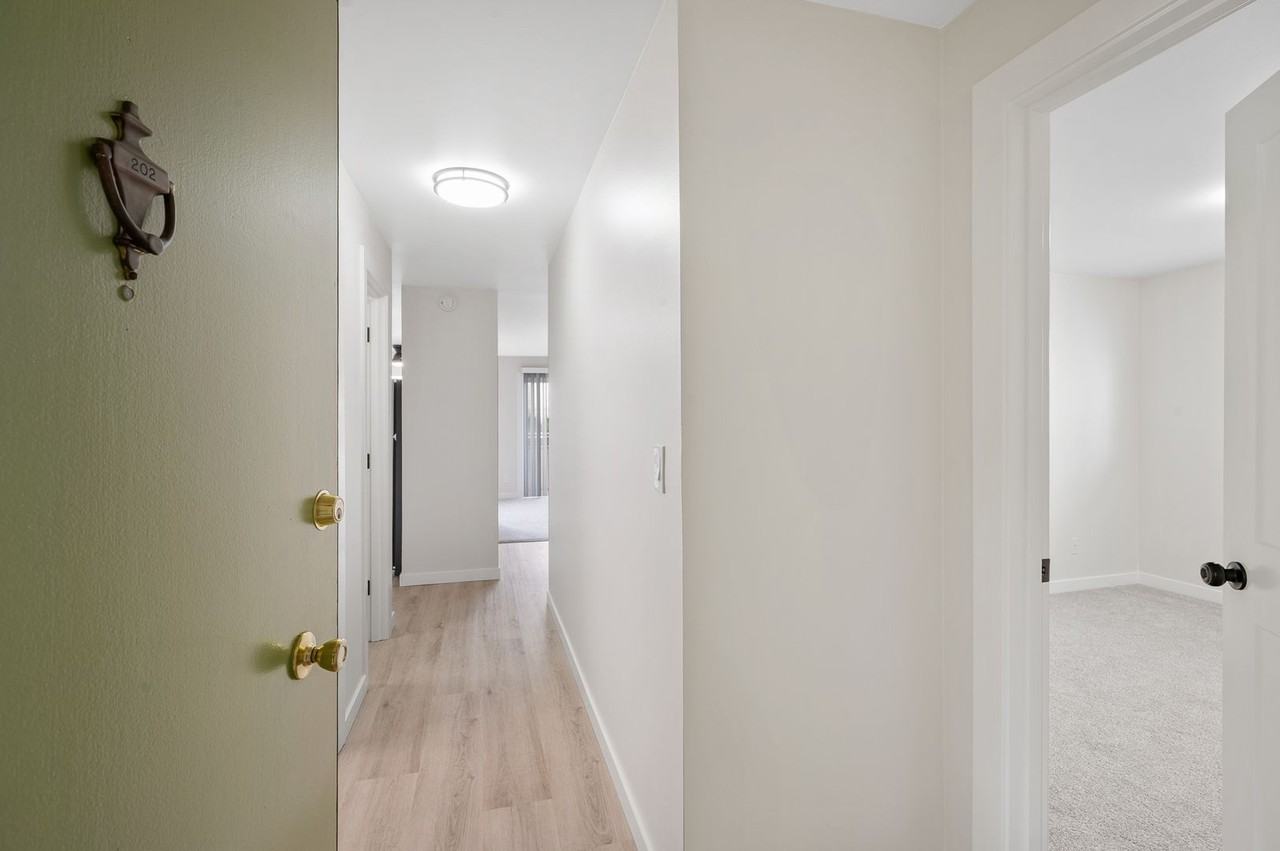 Mid-Century Modern West Seattle Apartment - Photo 6 of 43