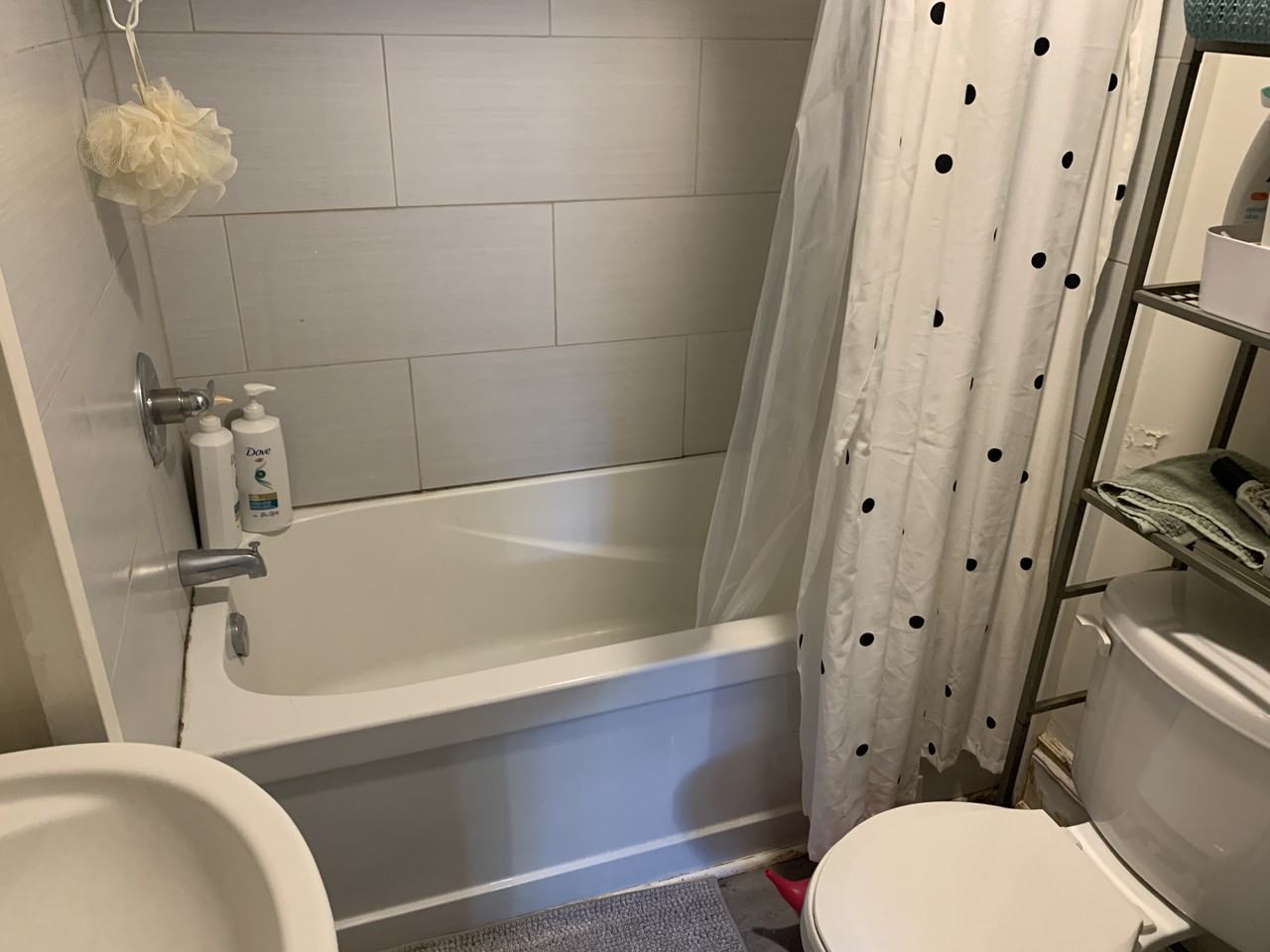 301 - 307 Barrie Street - Photo 5 of 24