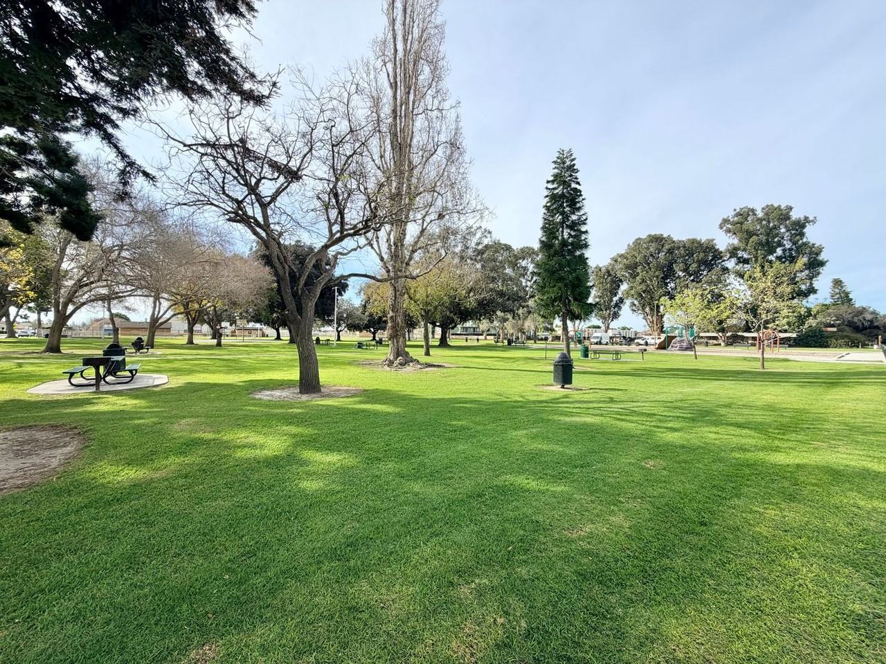 711 Ivywood Dr - Photo 3 of 9