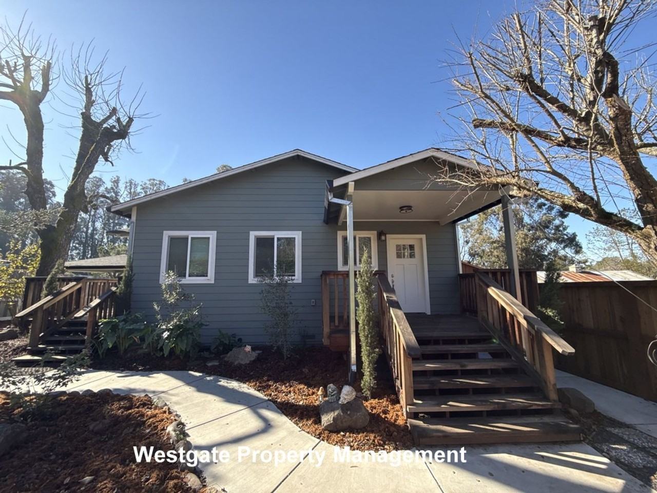 2249 Bodega Ave - Photo 4 of 17