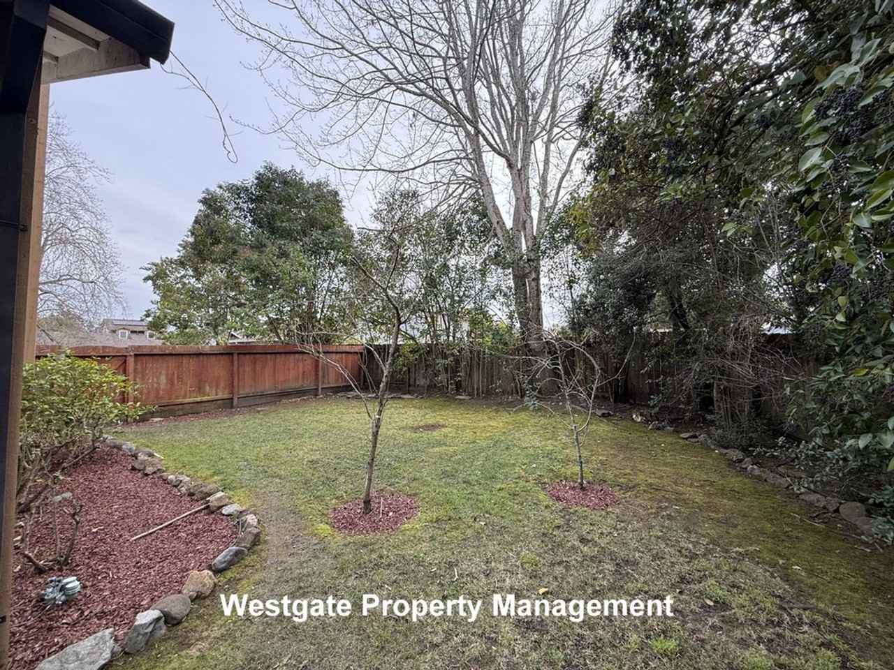 1613 Perseus Ct - Photo 5 of 14