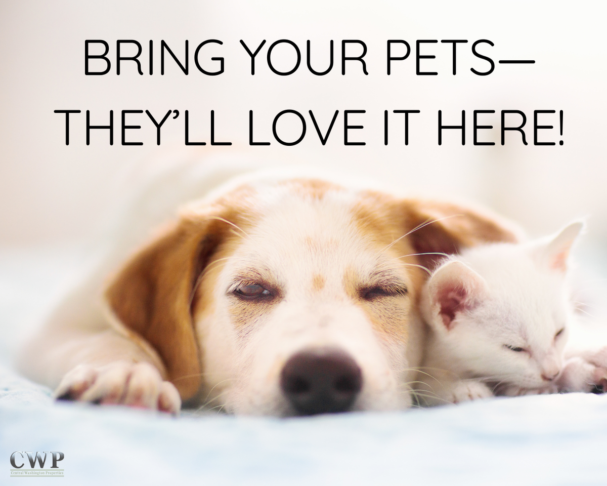 4905 Prestige Ct - Photo 3 of 4